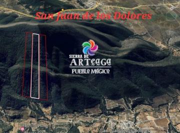 Terreno / Lote , Arteaga · Terrenos en Arteaga, Coahuila