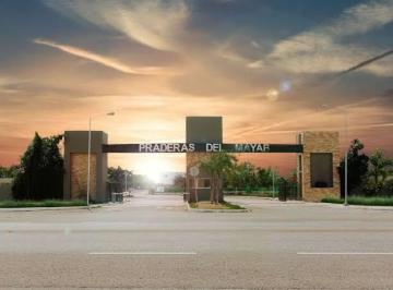 Terreno / Lote , Conkal · Terrenos en Reventa Fraccionamiento Praderas del Mayab