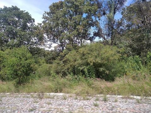 Vendo excelente oportunidad, terreno en fraccionamiento La Joya, en…
