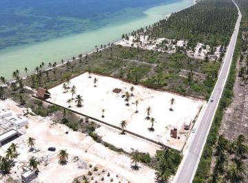 Terreno / Lote · 14778m² · Terreno Frente Al Mar en San Crisanto, Ideal Para Proyecto de Departamentos