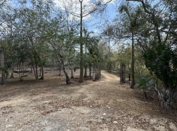 Terreno / Lote · 35m² · 1 Recámara · Hectáreas en Venta en Ebtun, Yucatán