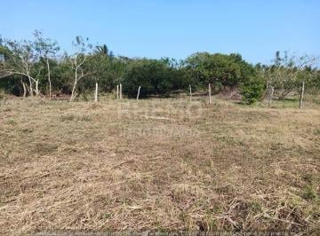 Terreno / Lote · 450m² · Terreno en Venta Col. Petrolera, Tuxpan, Ver.