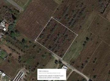Terreno / Lote · 4908m² · Terreno Plano en Venta en San Pedro Cholula, Puebla.