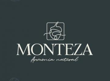 Terreno / Lote , Tlajomulco de Zúñiga · Terreno Residencial en El Sur Fraccionamiento Monteza