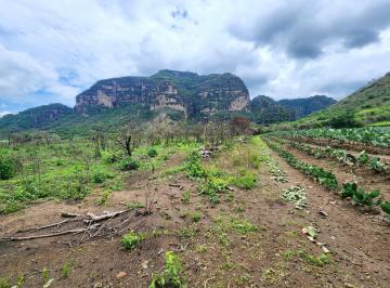 Terreno / Lote · 41075m² · Terreno Plano en Venta, con Vista a La Montaña, en Tlayacapan, Morelos.