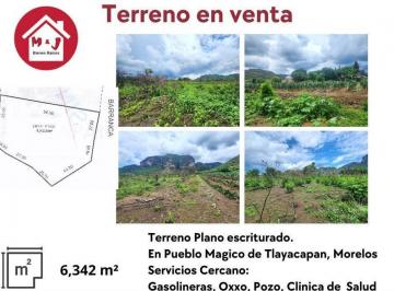 Terreno / Lote · 6342m² · Terreno Plano en Venta, con Vista a La Montaña, en Tlayacapan, Morelos.