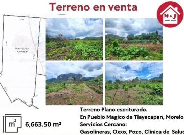 Terreno / Lote · 6663m² · Terreno Plano en Venta, con Vista a La Montaña, en Tlayacapan, Morelos.