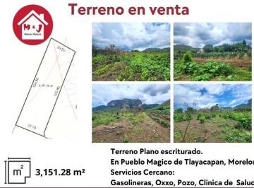 Terreno / Lote · 3151m² · Terreno Plano en Venta, con Vista a La Montaña, en Tlayacapan, Morelos.