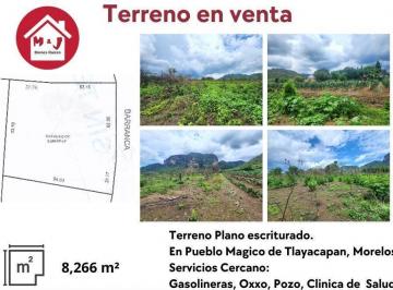 Terreno / Lote · 8266m² · Terreno Plano en Venta, con Vista a La Montaña, en Tlayacapan, Morelos.
