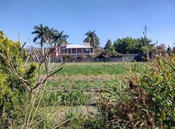 Terreno / Lote · 9715m² · Terreno en Venta Para Desarrollar, Plano, en Temixco, Morelos.