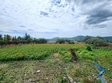 Terreno / Lote · 160003m² · Terreno en Carr. Cuautla - Izucar de Matamoros