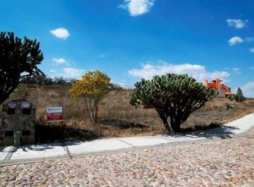 Terreno / Lote , San Miguel de Allende · Venta Terreno en La Presita. San Miguel de Allende