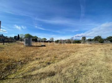 Terreno / Lote · 4482m² · Terreno en Renta - San Francisco Acatepec - Parque Loro y Federal Atlixco