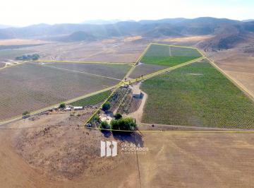 e602e7e01f6d67cd0f8b324aabd4b604ea3545cc704d499de3ab063dc87c2b3c · 13 a 30 Ha Viñedo Produciendo en Valle de Guadalupe! Oportunidad!