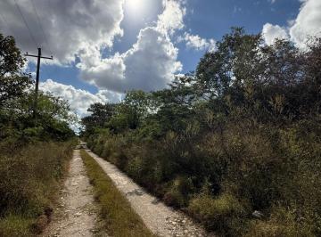Terreno / Lote , Motul · Terreno Campestre en Venta en Motul Yucatan