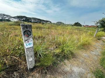Terreno / Lote · 140m² · Terreno en Venta en Fracc. Palma de Camino Real Colima