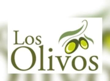 Terreno / Lote , Morelia · Venta de Terreno en El Fracc Los Olivos a 9 Min de Walmart La Huerta 255 m²