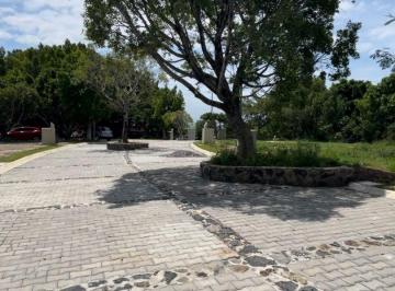 1ffa450e6a4f8089e2adf5bc6afefcd05e8fbfbc23a73c5ccc8e4701d48c1854 · Lotes Residenciales Venta, Col. Lomas de Atzingo Al Norte de Cuernavaca