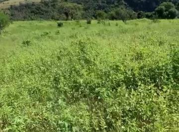 Terreno / Lote · 58000m² · Terreno - Pueblo El Lencero