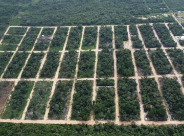 Terreno / Lote , Berriozábal · Terreno Rustico en Venta, Fraccionamiento Orquideas, Chiapas.