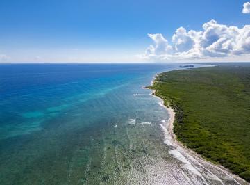 Terreno / Lote , Othón P. Blanco · ¡Super Oportunidad! Terrenos Frente Al Mar Mahahual