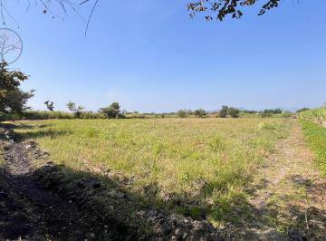 Terreno / Lote · 9766m² · Terreno en Venta en Chiconcuac Morelos