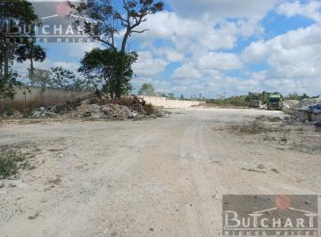 Terreno / Lote · 6000m² · Terreno en Renta de 1 Hectárea.