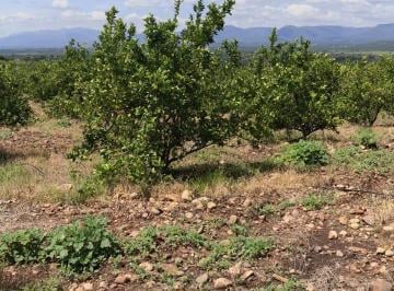 Rancho de 15 habitaciones, Tabasco · Venta Rancho en Zacatecas 430 Ha