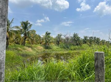 Terreno / Lote · Terreno en Venta Congregacion Sabanillas, Tuxpan, Ver.