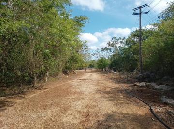 Terreno / Lote · 460064m² · Oportunidad! Terreno de 46 Ha en Venta Cerca del Tren Maya