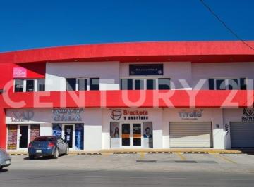 Local comercial · 55m² · Local en Renta Plaza Independencia Chihuahua, Chih