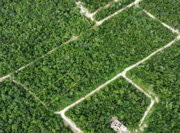 Terreno / Lote · 1150m² · Lote 528 Tulum
