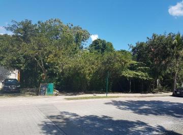 Terreno / Lote · 2728m² · Terreno - Solidaridad