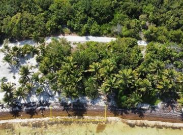 Terreno / Lote · 1734m² · Terreno - Mahahual