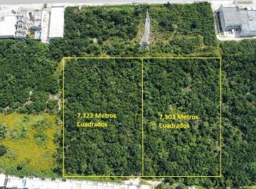 Terreno / Lote · 16625m² · Terreno - Playa del Carmen