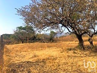 Terreno / Lote · 1m² · En Venta Terreno Escriturado en Carretera Yautepec - Tlayacapan. Predio Las Palomas.