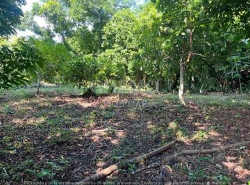Terreno / Lote · 966m² · Terreno en Venta Congregacion Banderas, Tuxpan, Ver.