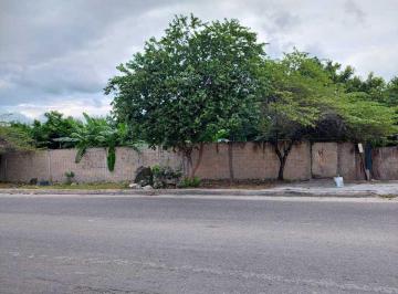 d2cbf91c187c16f43e533f39b9cd0cffb4dedf858657654a533ba492a02ad521 · Commercial Land For Sale On Av Tulum, Cancún