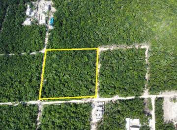 Terreno / Lote · 10000m² · Terreno en Tulum