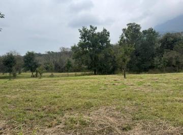 Terreno / Lote · 3000m² · Terreno en Venta en Los Altares Allende, N. L. Carretera Nac.