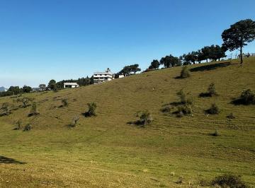 Terreno / Lote en Venta Barrio Santiago · Terreno en Venta en Huauchinango Puebla