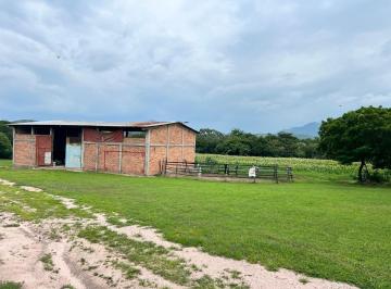 Rancho , · Rancho en Venta, 3 Ha, Cintalapa, Chiapas
