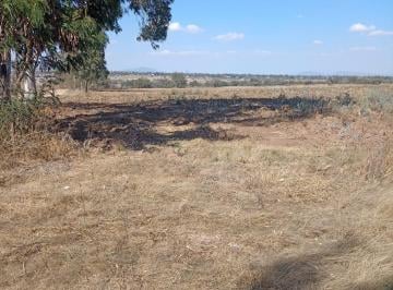 Terreno / Lote · 50000m² · Terreno en Residencial Los Viñedos, Querétaro Cp.76795 Sup. 5 Hectáreas.