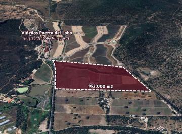 Terreno / Lote , Querétaro · Hectáreas en Venta, Uso de Suelo Agrícola, Cerca de Viñedos, Querétaro