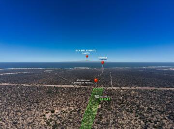 Terreno / Lote , La Paz · 50 Ha La Paz Bcs