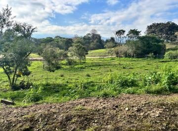 Terreno / Lote · Terreno - Fraccionamiento Coapexpan