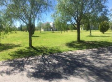 Terreno / Lote · 1300m² · Terreno en Venta en Edén Los Sabinos