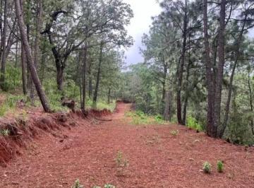 Terreno / Lote , Mazamitla · Terrenos en El Bosque de Mazamitla Fraccionamiento La Toscana