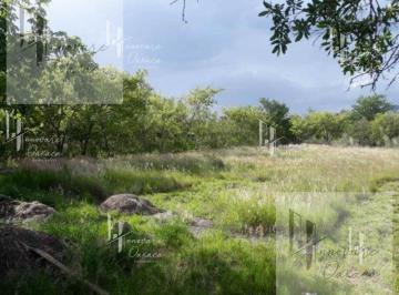 Terreno / Lote · 25000m² · Terreno en Venta en Ocotlán, Oaxaca