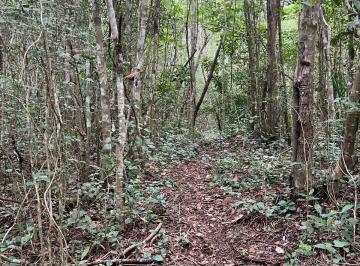 Terreno / Lote , Bacalar · Venta de Terrenos en Buenavista